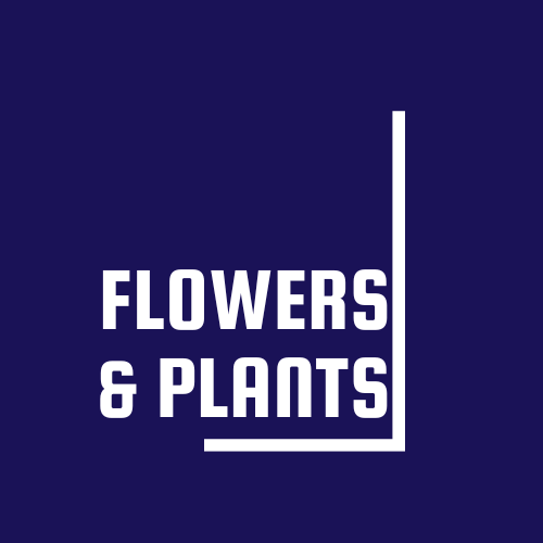 Flowers & Plants