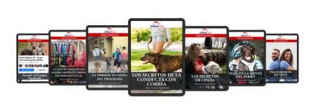 Los secretos de la conducta con correa
