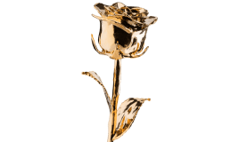 One Golden Rose