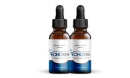 EchoXen
