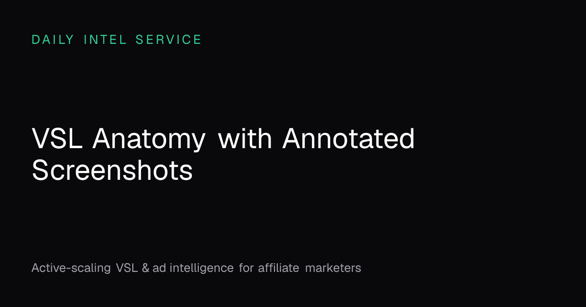 VSL Anatomy with Annotated Screenshots | Daily Intel Service
